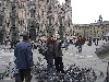milan_duomo_pigeons.jpg