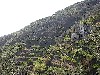 monte_roso_hillside_vineyards2.jpg