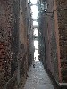 vernazza_street_cat.jpg